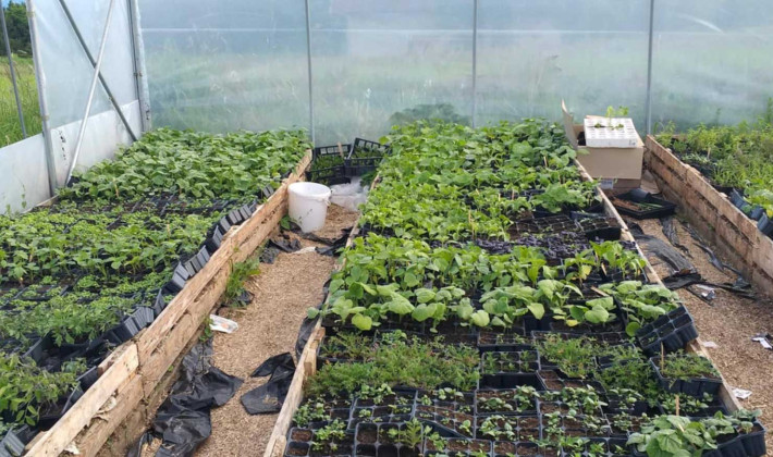 Strokovna ekskurzija društva